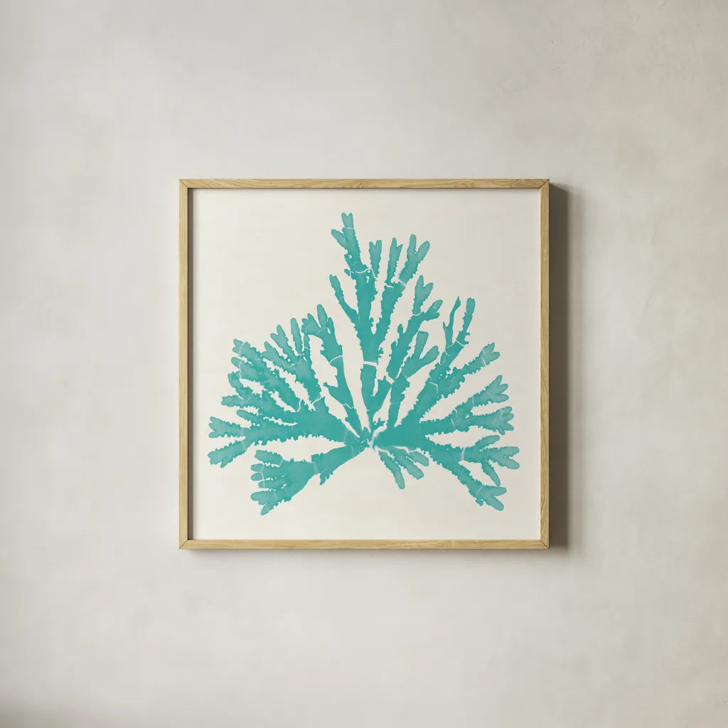 Pacific Sea Mosses IV Aqua by Wild Apple Portfolio. Shown in a natural wood glass frame for a timeless modern aesthetic. Available as an archival giclee rolled canvas, fine art paper, or poster print. SKU 55911a.