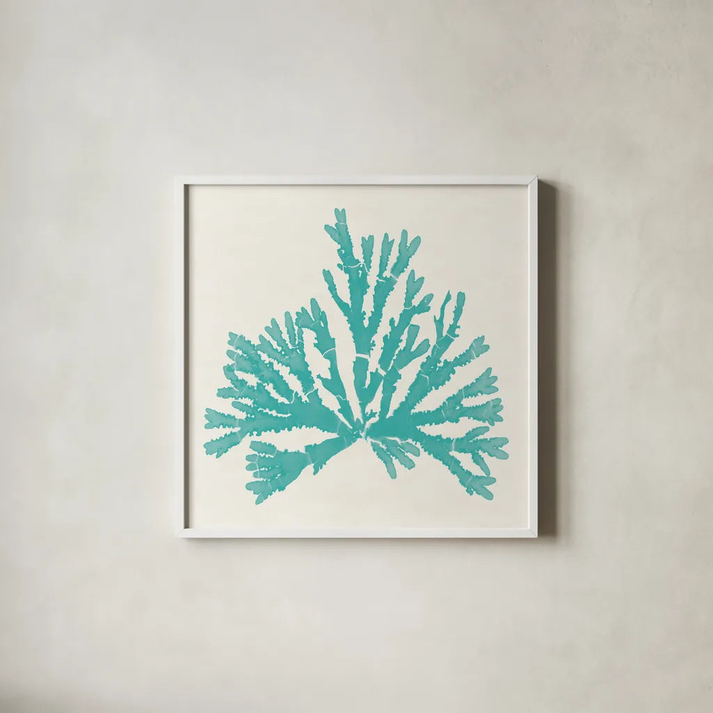 Pacific Sea Mosses IV Aqua by Wild Apple Portfolio. Shown in a crisp white glass frame for a clean and minimalist style. Available as an archival giclee rolled canvas, fine art paper, or poster print. SKU 55911a.