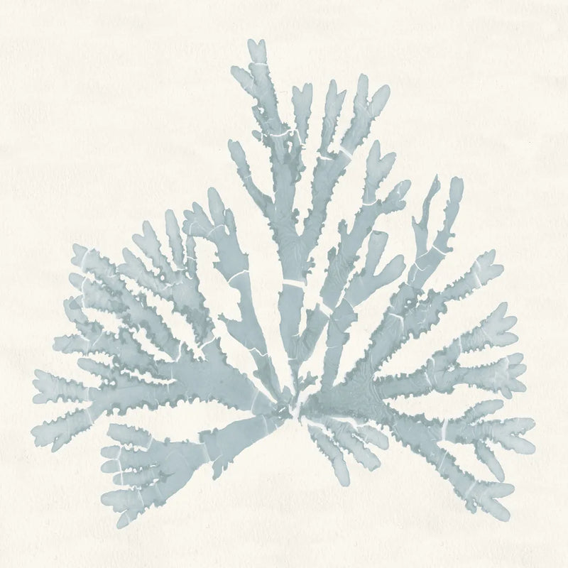 Pacific Sea Mosses IV Blue by Wild Apple Portfolio. SKU 87176a. Archival Giclee Fine art print for wall decor.