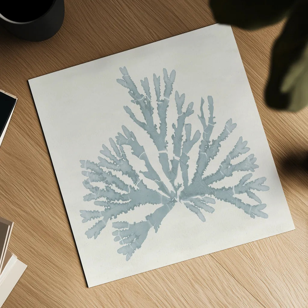 Pacific Sea Mosses IV Blue by Wild Apple Portfolio. Shown as a detailed flat fine art print, highlighting archival giclee quality. Available as an archival giclee rolled canvas, fine art paper, or poster print. SKU 87176a.