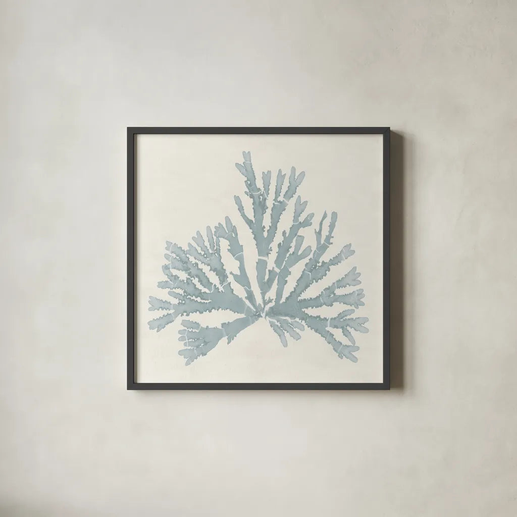 Pacific Sea Mosses IV Blue by Wild Apple Portfolio. Shown in a sleek black glass frame for a contemporary gallery look. Available as an archival giclee rolled canvas, fine art paper, or poster print. SKU 87176a.