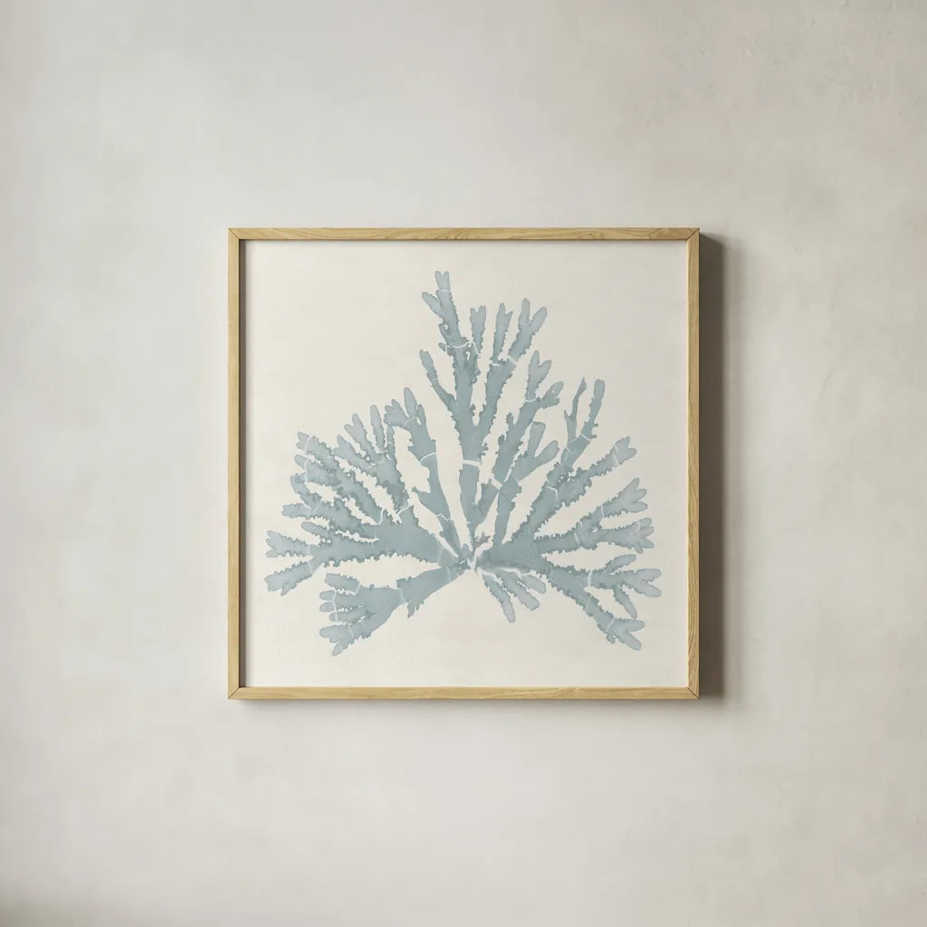 Pacific Sea Mosses IV Blue by Wild Apple Portfolio. Shown in a natural wood glass frame for a timeless modern aesthetic. Available as an archival giclee rolled canvas, fine art paper, or poster print. SKU 87176a.