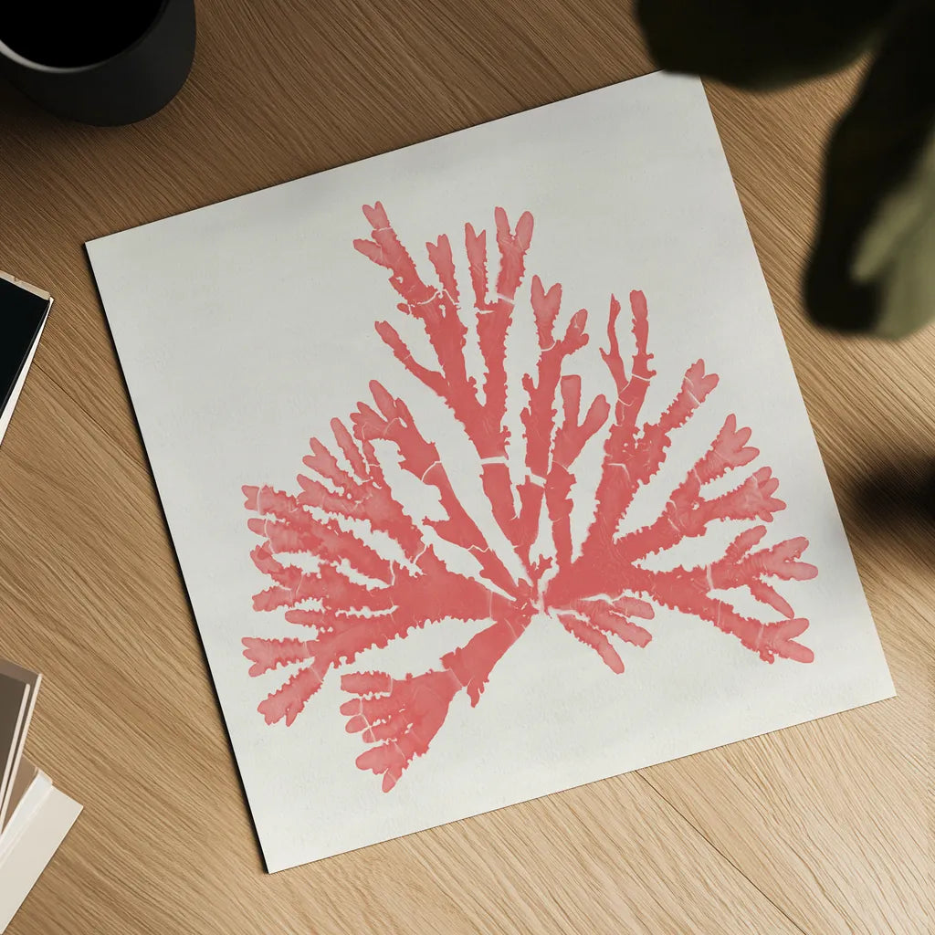 Pacific Sea Mosses IV Coral by Wild Apple Portfolio. Shown as a detailed flat fine art print, highlighting archival giclee quality. Available as an archival giclee rolled canvas, fine art paper, or poster print. SKU 55907a.
