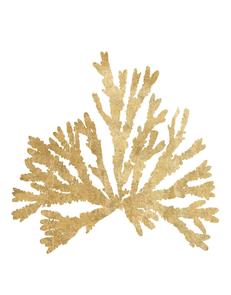 Pacific Sea Mosses IV Gold by Wild Apple Portfolio
