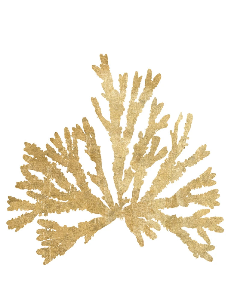 Pacific Sea Mosses IV Gold Crop by Wild Apple Portfolio