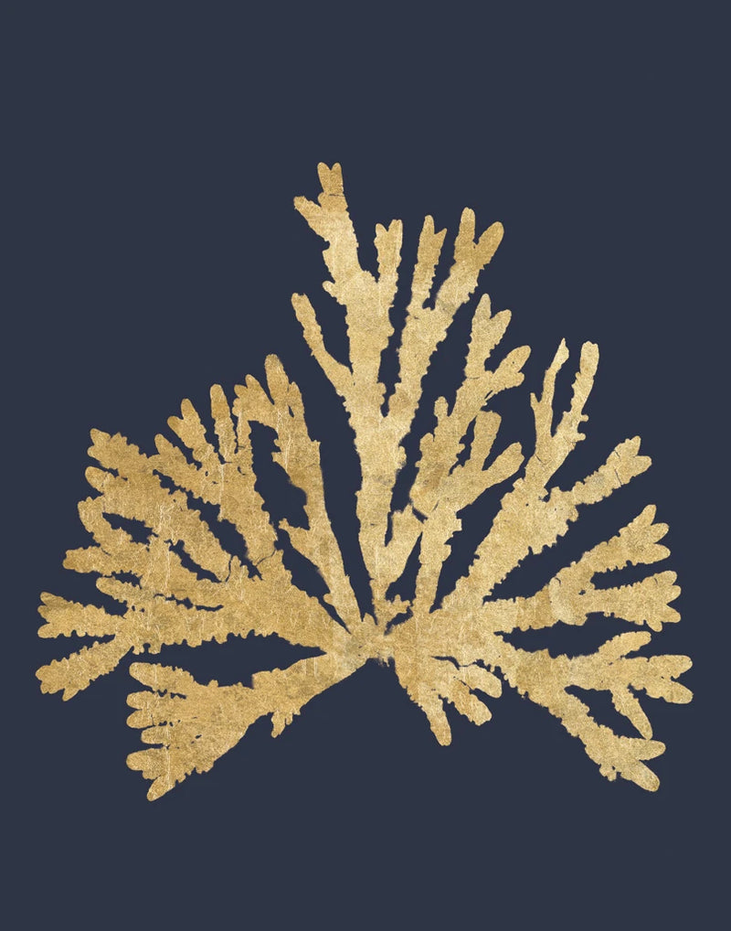 Pacific Sea Mosses IV Indigo by Wild Apple Portfolio