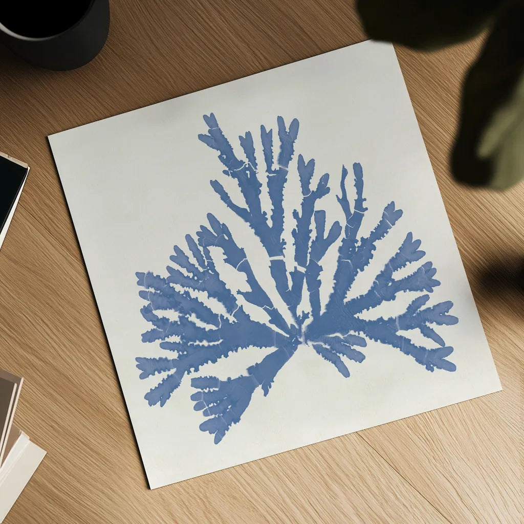 Pacific Sea Mosses IV Light Blue by Wild Apple Portfolio. Shown as a detailed flat fine art print, highlighting archival giclee quality. Available as an archival giclee rolled canvas, fine art paper, or poster print. SKU 55915a.