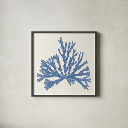 Pacific Sea Mosses IV Light Blue by Wild Apple Portfolio. Shown in a sleek black glass frame for a contemporary gallery look. Available as an archival giclee rolled canvas, fine art paper, or poster print. SKU 55915a.