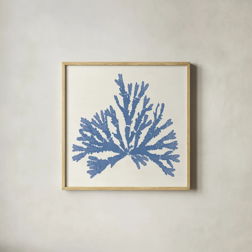 Pacific Sea Mosses IV Light Blue by Wild Apple Portfolio. Shown in a natural wood glass frame for a timeless modern aesthetic. Available as an archival giclee rolled canvas, fine art paper, or poster print. SKU 55915a.