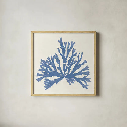 Pacific Sea Mosses IV Light Blue by Wild Apple Portfolio. Shown in a natural wood glass frame for a timeless modern aesthetic. Available as an archival giclee rolled canvas, fine art paper, or poster print. SKU 55915a.