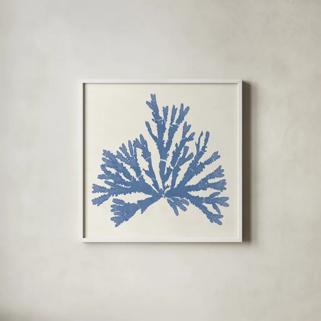 Pacific Sea Mosses IV Light Blue by Wild Apple Portfolio. Shown in a crisp white glass frame for a clean and minimalist style. Available as an archival giclee rolled canvas, fine art paper, or poster print. SKU 55915a.