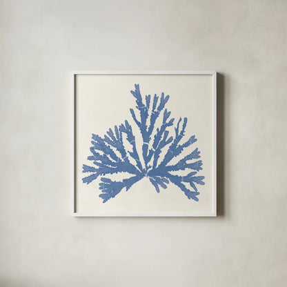Pacific Sea Mosses IV Light Blue by Wild Apple Portfolio. Shown in a crisp white glass frame for a clean and minimalist style. Available as an archival giclee rolled canvas, fine art paper, or poster print. SKU 55915a.