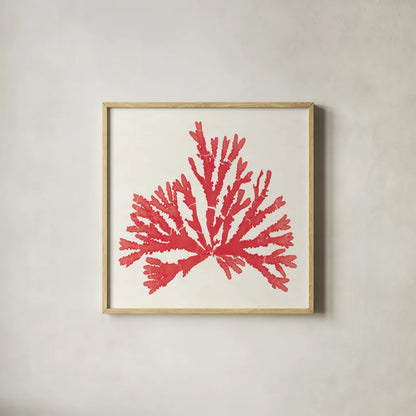 Pacific Sea Mosses IV Red by Wild Apple Portfolio. Shown in a natural wood glass frame for a timeless modern aesthetic. Available as an archival giclee rolled canvas, fine art paper, or poster print. SKU 55919a.