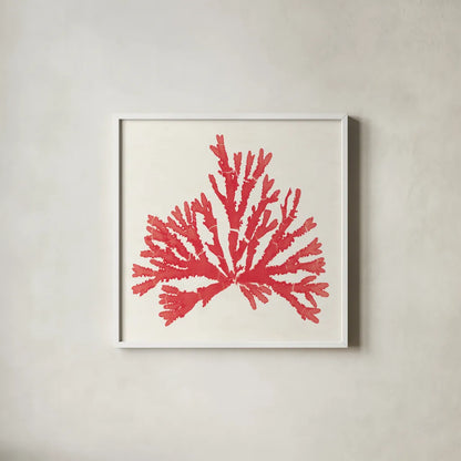 Pacific Sea Mosses IV Red by Wild Apple Portfolio. Shown in a crisp white glass frame for a clean and minimalist style. Available as an archival giclee rolled canvas, fine art paper, or poster print. SKU 55919a.