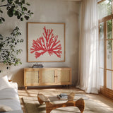 Pacific Sea Mosses IV Red by Wild Apple Portfolio. Shown in a natural wood frame in a cozy modern living room. Available as an archival giclee rolled canvas, fine art paper, or poster print. SKU 55919a.