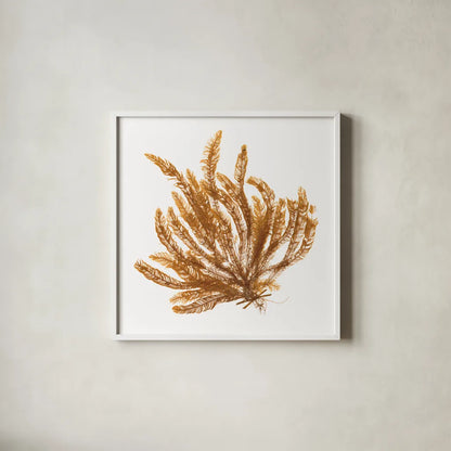 Pacific Sea Mosses VII White Sq by Wild Apple Portfolio. Shown in a crisp white glass frame for a clean and minimalist style. Available as an archival giclee rolled canvas, fine art paper, or poster print. SKU 51610a.
