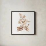 Pacific Sea Mosses X White Sq by Wild Apple Portfolio. Shown in a sleek black glass frame for a contemporary gallery look. Available as an archival giclee rolled canvas, fine art paper, or poster print. SKU 51612a.