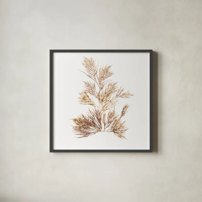 Pacific Sea Mosses X White Sq by Wild Apple Portfolio. Shown in a sleek black glass frame for a contemporary gallery look. Available as an archival giclee rolled canvas, fine art paper, or poster print. SKU 51612a.