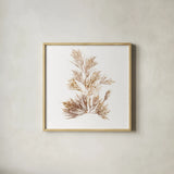 Pacific Sea Mosses X White Sq by Wild Apple Portfolio. Shown in a natural wood glass frame for a timeless modern aesthetic. Available as an archival giclee rolled canvas, fine art paper, or poster print. SKU 51612a.