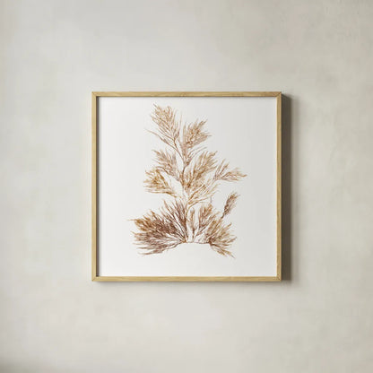 Pacific Sea Mosses X White Sq by Wild Apple Portfolio. Shown in a natural wood glass frame for a timeless modern aesthetic. Available as an archival giclee rolled canvas, fine art paper, or poster print. SKU 51612a.