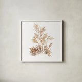Pacific Sea Mosses X White Sq by Wild Apple Portfolio. Shown in a crisp white glass frame for a clean and minimalist style. Available as an archival giclee rolled canvas, fine art paper, or poster print. SKU 51612a.