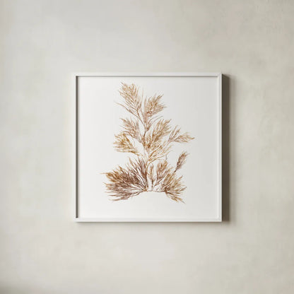 Pacific Sea Mosses X White Sq by Wild Apple Portfolio. Shown in a crisp white glass frame for a clean and minimalist style. Available as an archival giclee rolled canvas, fine art paper, or poster print. SKU 51612a.