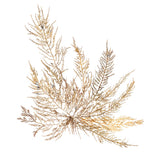 Pacific Sea Mosses XII White Sq by Wild Apple Portfolio. SKU 51613a. Archival Giclee Fine art print for wall decor.