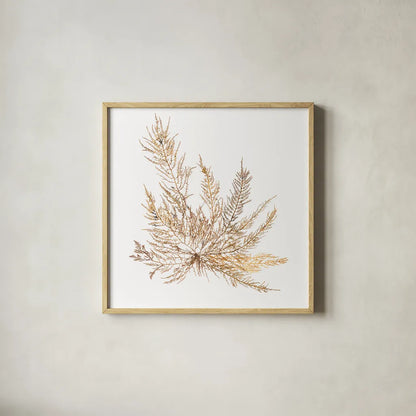 Pacific Sea Mosses XII White Sq by Wild Apple Portfolio. Shown in a natural wood glass frame for a timeless modern aesthetic. Available as an archival giclee rolled canvas, fine art paper, or poster print. SKU 51613a.