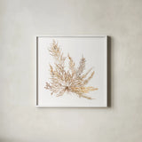 Pacific Sea Mosses XII White Sq by Wild Apple Portfolio. Shown in a crisp white glass frame for a clean and minimalist style. Available as an archival giclee rolled canvas, fine art paper, or poster print. SKU 51613a.
