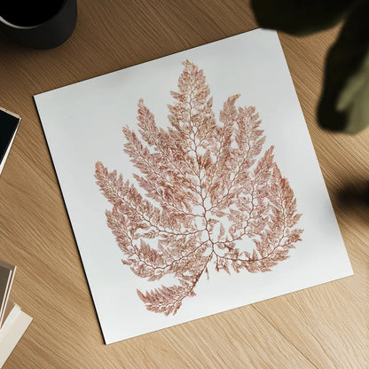 Pacific Sea Mosses XIV White Sq by Wild Apple Portfolio. Shown as a detailed flat fine art print, highlighting archival giclee quality. Available as an archival giclee rolled canvas, fine art paper, or poster print. SKU 51614a.
