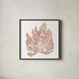 Pacific Sea Mosses XIV White Sq by Wild Apple Portfolio. Shown in a sleek black glass frame for a contemporary gallery look. Available as an archival giclee rolled canvas, fine art paper, or poster print. SKU 51614a.
