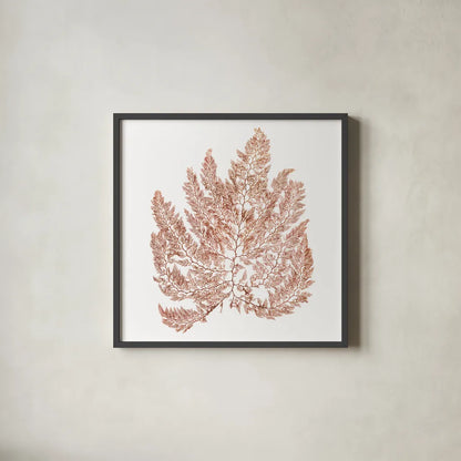 Pacific Sea Mosses XIV White Sq by Wild Apple Portfolio. Shown in a sleek black glass frame for a contemporary gallery look. Available as an archival giclee rolled canvas, fine art paper, or poster print. SKU 51614a.