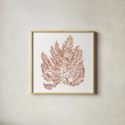 Pacific Sea Mosses XIV White Sq by Wild Apple Portfolio. Shown in a natural wood glass frame for a timeless modern aesthetic. Available as an archival giclee rolled canvas, fine art paper, or poster print. SKU 51614a.
