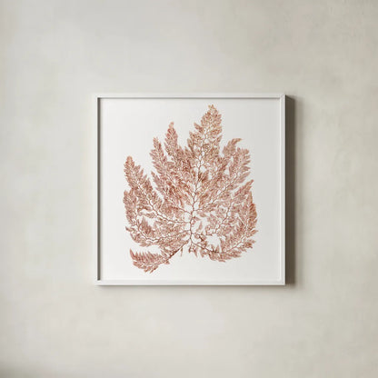Pacific Sea Mosses XIV White Sq by Wild Apple Portfolio. Shown in a crisp white glass frame for a clean and minimalist style. Available as an archival giclee rolled canvas, fine art paper, or poster print. SKU 51614a.