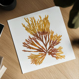 Pacific Sea Mosses XIX White Sq by Wild Apple Portfolio. Shown as a detailed flat fine art print, highlighting archival giclee quality. Available as an archival giclee rolled canvas, fine art paper, or poster print. SKU 51617a.