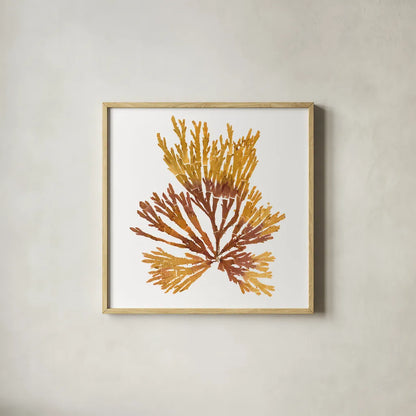 Pacific Sea Mosses XIX White Sq by Wild Apple Portfolio. Shown in a natural wood glass frame for a timeless modern aesthetic. Available as an archival giclee rolled canvas, fine art paper, or poster print. SKU 51617a.