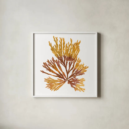 Pacific Sea Mosses XIX White Sq by Wild Apple Portfolio. Shown in a crisp white glass frame for a clean and minimalist style. Available as an archival giclee rolled canvas, fine art paper, or poster print. SKU 51617a.