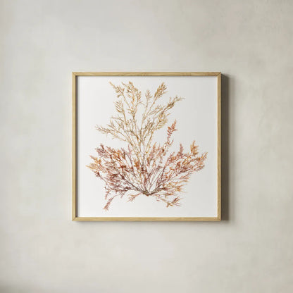 Pacific Sea Mosses XV White Sq by Wild Apple Portfolio. Shown in a natural wood glass frame for a timeless modern aesthetic. Available as an archival giclee rolled canvas, fine art paper, or poster print. SKU 51615a.