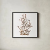 Pacific Sea Mosses XVI White Sq by Wild Apple Portfolio. Shown in a sleek black glass frame for a contemporary gallery look. Available as an archival giclee rolled canvas, fine art paper, or poster print. SKU 51616a.