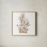 Pacific Sea Mosses XVI White Sq by Wild Apple Portfolio. Shown in a natural wood glass frame for a timeless modern aesthetic. Available as an archival giclee rolled canvas, fine art paper, or poster print. SKU 51616a.
