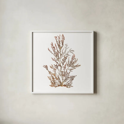 Pacific Sea Mosses XVI White Sq by Wild Apple Portfolio. Shown in a crisp white glass frame for a clean and minimalist style. Available as an archival giclee rolled canvas, fine art paper, or poster print. SKU 51616a.