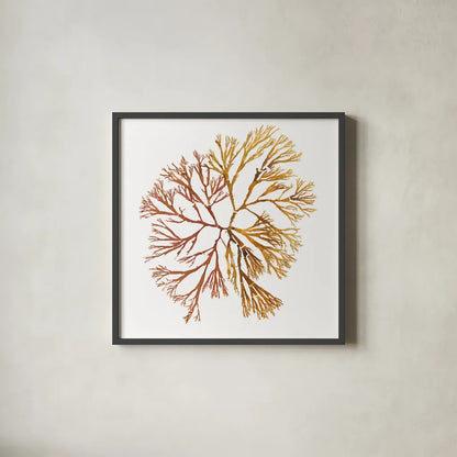Pacific Sea Mosses XX White Sq by Wild Apple Portfolio. Shown in a sleek black glass frame for a contemporary gallery look. Available as an archival giclee rolled canvas, fine art paper, or poster print. SKU 51618a.