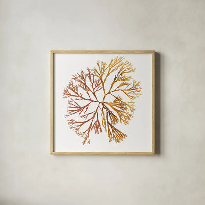 Pacific Sea Mosses XX White Sq by Wild Apple Portfolio. Shown in a natural wood glass frame for a timeless modern aesthetic. Available as an archival giclee rolled canvas, fine art paper, or poster print. SKU 51618a.