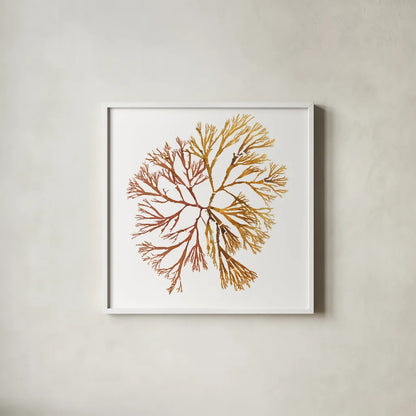 Pacific Sea Mosses XX White Sq by Wild Apple Portfolio. Shown in a crisp white glass frame for a clean and minimalist style. Available as an archival giclee rolled canvas, fine art paper, or poster print. SKU 51618a.