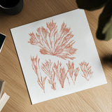 Pacific Sea Mosses XXI Red Sq by Wild Apple Portfolio. Shown as a detailed flat fine art print, highlighting archival giclee quality. Available as an archival giclee rolled canvas, fine art paper, or poster print. SKU 53852a.