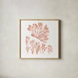 Pacific Sea Mosses XXI Red Sq by Wild Apple Portfolio. Shown in a natural wood glass frame for a timeless modern aesthetic. Available as an archival giclee rolled canvas, fine art paper, or poster print. SKU 53852a.