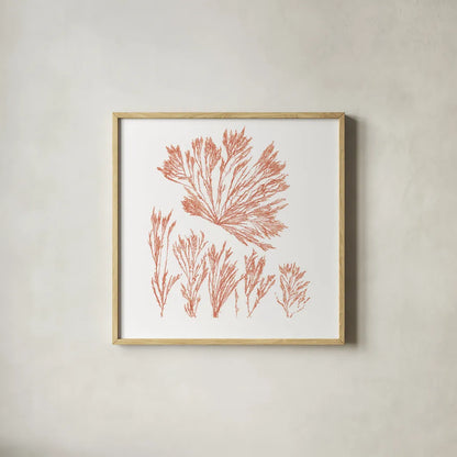 Pacific Sea Mosses XXI Red Sq by Wild Apple Portfolio. Shown in a natural wood glass frame for a timeless modern aesthetic. Available as an archival giclee rolled canvas, fine art paper, or poster print. SKU 53852a.