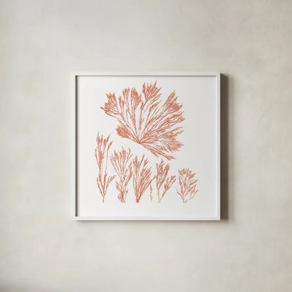 Pacific Sea Mosses XXI Red Sq by Wild Apple Portfolio. Shown in a crisp white glass frame for a clean and minimalist style. Available as an archival giclee rolled canvas, fine art paper, or poster print. SKU 53852a.