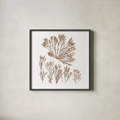 Pacific Sea Mosses XXI White Sq by Wild Apple Portfolio. Shown in a sleek black glass frame for a contemporary gallery look. Available as an archival giclee rolled canvas, fine art paper, or poster print. SKU 51619a.