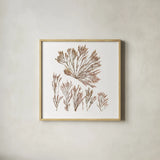 Pacific Sea Mosses XXI White Sq by Wild Apple Portfolio. Shown in a natural wood glass frame for a timeless modern aesthetic. Available as an archival giclee rolled canvas, fine art paper, or poster print. SKU 51619a.